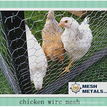 1/2" Stainless Steel Hexagonal Mesh Chicken Wire